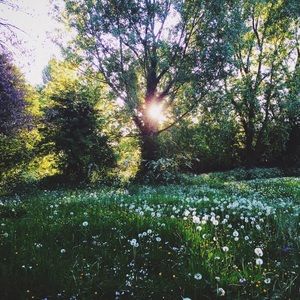 Meet your Posher, Jacklyn